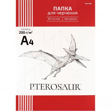 Папка для черчения А4 20л., Проф-Пресс, без рамки, 200г/м2, "Схема птерозавра" фото 1