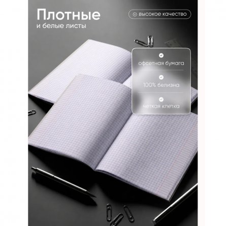 Тетрадь 48л., А5, клетка, Alingar "Black Croco  metallic", скрепка, дизайнерский картон, тиснение, блок офсет, 100% белизна фото 7