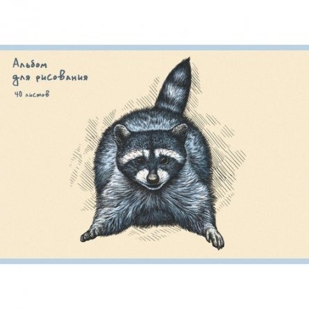 Альбом для рисования А4 40л., Канц-Эксмо, скрепка, мелованный картон, "Енотик" фото 1