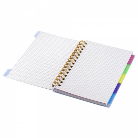 Тетрадь 120л., А5, клетка, Alingar, гребень, пластиковая обложка с информ. окном, цветные пластиковые разделители, ассорти 4 цвета фото 7