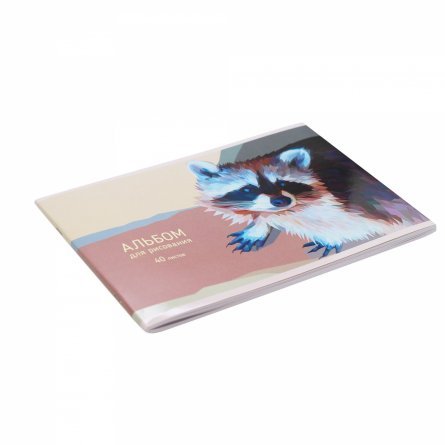 Альбом для рисования А4 40л., Канц-Эксмо, на скрепке, мелованный картон, твин-лак, "Енотик" фото 2