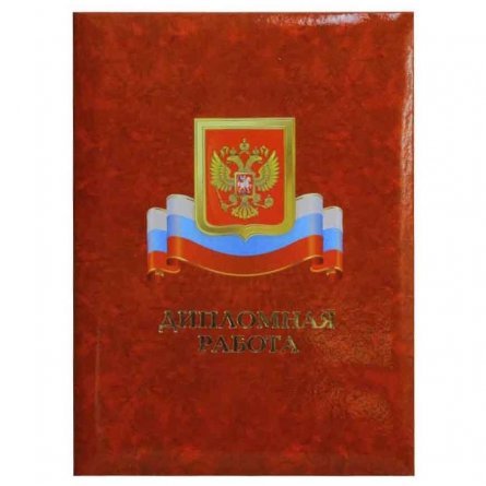 Папка для дипломных работ с рисунком герба и флага России, Имидж, А4, ламинированная фото 1