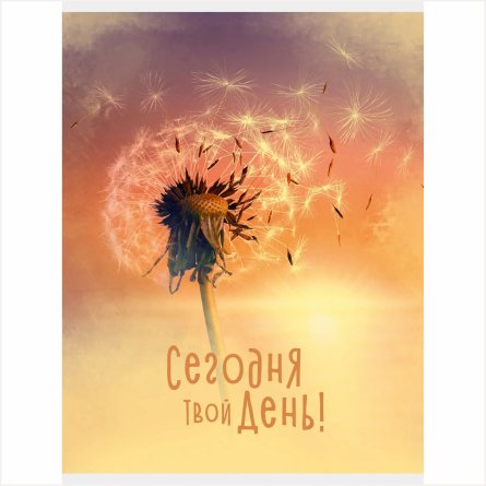 Тетрадь 60л., А4, клетка, Канц-Эксмо "Сегодня твой день", скрепка, обложка мелованный картон, мат. ламинация, выборочный лак фото 1
