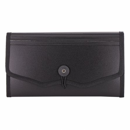 Папка-картотека Alingar, 260х140 мм, 900 мкм, на пуговице, пластик, 12 отделений, черный фото 1