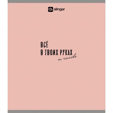 Тетрадь 48л., А5, клетка, Alingar "Всё в твоих руках", скрепка, мелованный  картон, блок офсет, 4 дизайна в пленке т/у фото 5