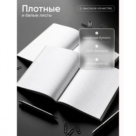 Тетрадь 48л., А5, клетка, Alingar "Black Skin metallic", скрепка, дизайнерский картон, тиснение, блок офсет, 100% белизна фото 7