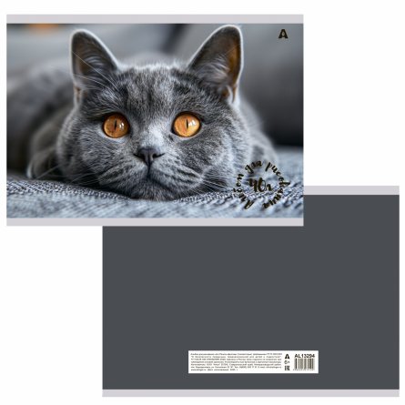 Альбом для рисования А4, 40л, Alingar, гребень,  мелованный картон(стандарт) 210г/м2, офсет 100 г/м2,, "Котик", 1 дизайн в пленке т/у фото 2