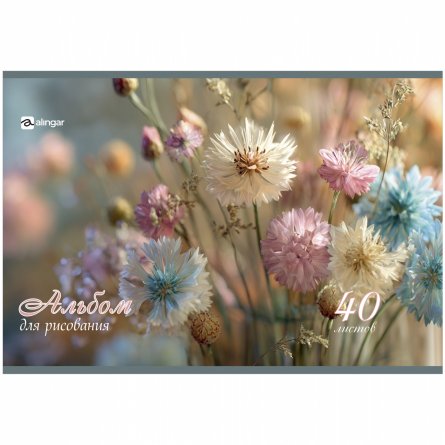 Альбом для рисования А4 40л. Alingar ,на скрепке ,мелованный картон(стандарт) 210г/м2, офсет 100 г/м2,, "Нежный букет", 2 дизайна в пленке т/у фото 2