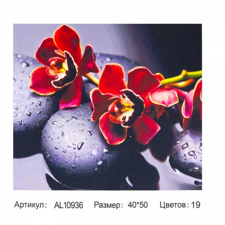 Алмазная мозаика Alingar, на подрамнике, с полным заполнением, (матов.) дизайн рамка, 40х50 см, 19 цветов, "Орхидеи на камнях" фото 1