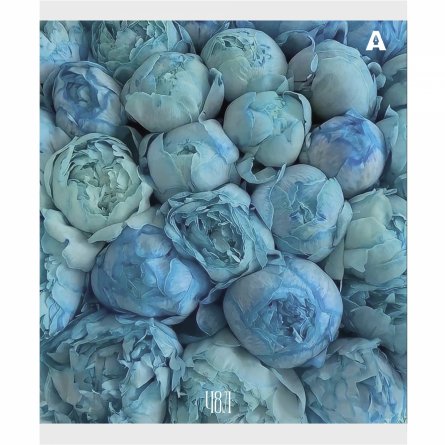 Тетрадь 48л., А5, клетка, Alingar "Нежные цветы", скрепка, мелованый  картон ( стандарт), блок офсет, 5 дизайнов в пленке т/у фото 7