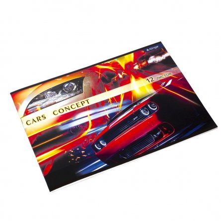 Тетрадь для рисования 19,5*27,5 см., 12л., Alingar, на скрепке, мелованный картон, 100 г/м2,  "Cars concept" фото 2