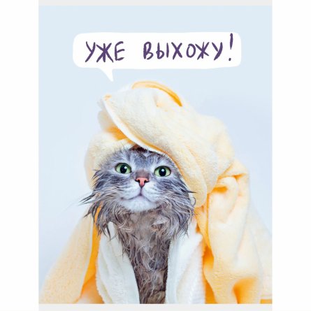 Тетрадь 60л., А4, клетка, Канц-Эксмо "Утро кошечки", скрепка, обложка мелованный картон, мат. ламинация, выборочный лак фото 1