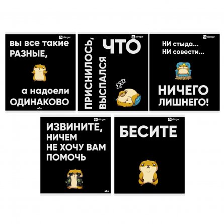 Тетрадь 48л, А5, клетка, Alingar, "Настроение: Хомяк ", скрепка, мелованный картон, выб УФ лак,  блок офсет, 5 дизайнов в пленке т/у фото 1