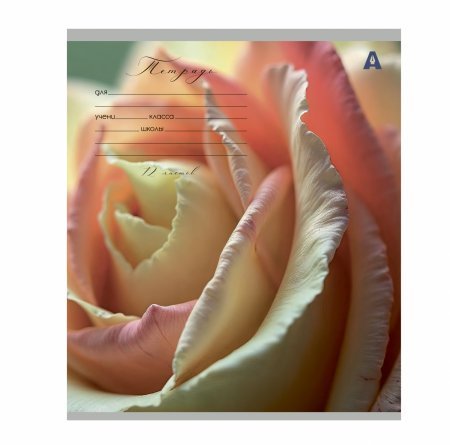 Тетрадь 12л., клетка, Alingar, скрепка, блок офсет, 100% белизна, мелованный картон (стандарт), "Цветы" фото 7