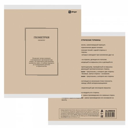 Комплект предметных тетрадей А5 48л., 10 предметов, со справ. матер, скрепка, пластиковая прозрачная обложка, блок офсет,Alingar "Classic NEW" фото 15