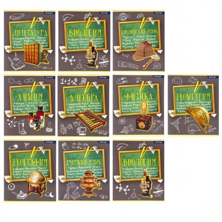 Комплект предметных тетрадей А5 48л., 10 предметов, со справочным материалом, на скрепке, мелованный картон, Alingar "К доске" фото 1
