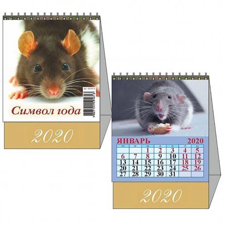 Календарь настольный "Домик"(2020) "Символ года. Вид 2" 100*140 фото 1
