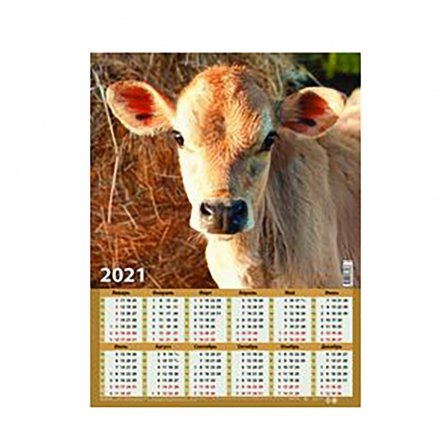 Календарь настенный листовой А2, 450 мм*590 мм Атберг 98 "Символ года. Вид 7" 2021 г. фото 1