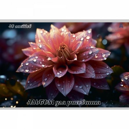 Альбом для рисования А4 40л., Alingar, на скрепке, мелованный картон (стандарт), 100 г/м2,  "Цветы", 2 дизайна в пленке т/у фото 4