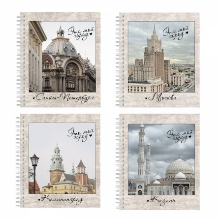 Тетрадь А5 48л., клетка, Alingar, гребень, блок офсет, мелованный картон (стандарт), "Города России", 4 дизайна в пленке т/у фото 1