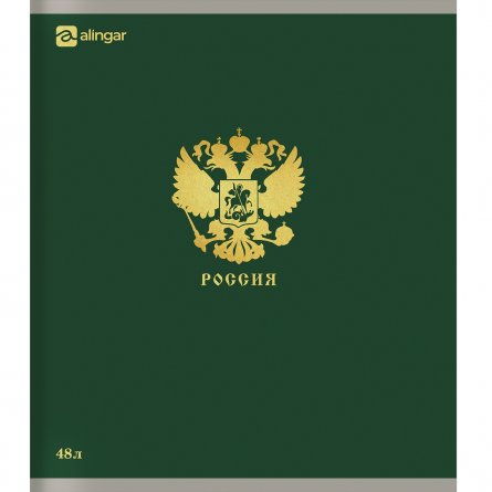 Тетрадь 48л., А5, клетка, Alingar "Россия", скрепка, мелованный  картон, блок офсет, 5 дизайнов в пленке т/у фото 4