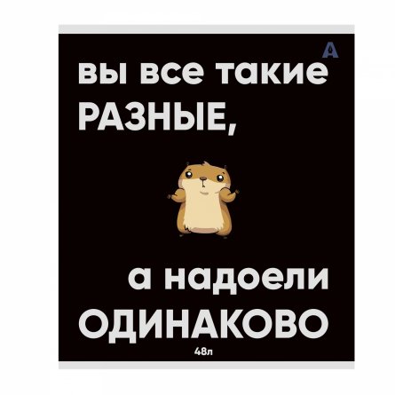 Тетрадь 48л, А5, клетка, Alingar, "Не бесите хомяка " , скрепка,мелованный картон (стандарт), выб УФ лак,  блок офсет, 5 дизайнов в пленке т/у фото 2