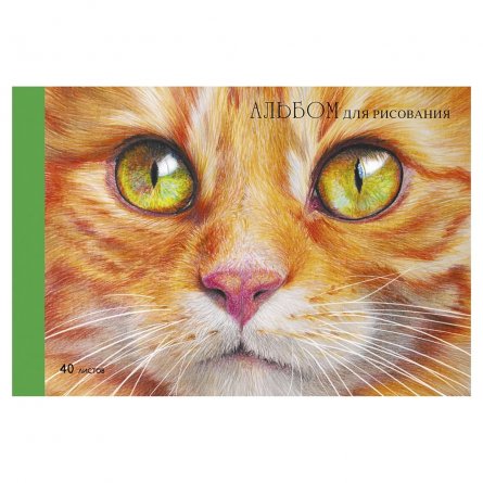 Альбом для рисования А4 40л., Канц-Эксмо, скрепка, мелованный картон, "Рыжий котик" фото 1