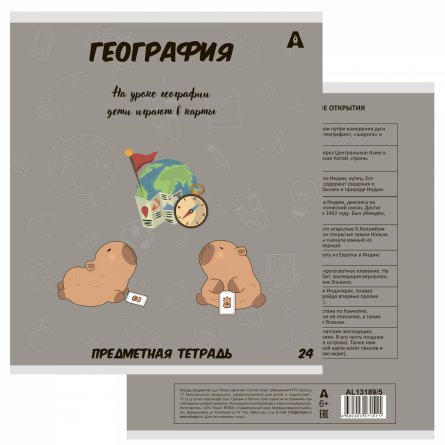 Комплект предметных тетрадей А5 24л., 8 предметов, со справочным материалом, скрепка, мелованный картон (стандарт), блок офсет, Alingar "Капибара" фото 2