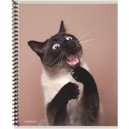 Тетрадь 48л., А5, клетка, Проф-Пресс, "Такие смешные кошки" цветная спираль, мелованный бумага фото 2