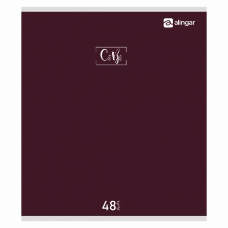 Тетрадь 48л., А5, клетка, Alingar "Style", скрепка, мелованый  картон ( стандарт), блок офсет, 4 дизайна в пленке т/у фото 2