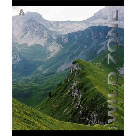 Тетрадь 36 л., А5, линия, Alingar, "Wild zone", скрепка, офсет, мелованная бумага, 5 дизайнов в пленке т/у фото 5