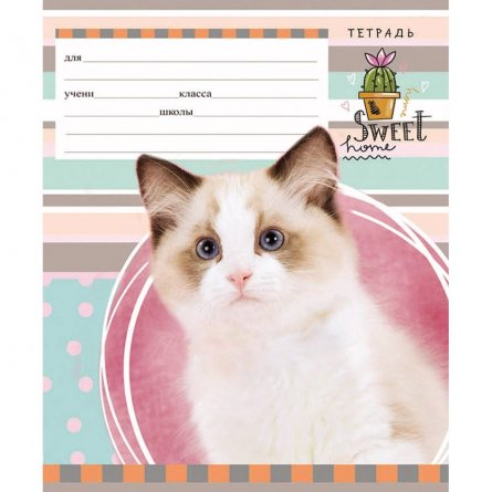 Тетрадь 12л., линия, Проф-Пресс "Пушистый котенок", скрепка, мелованный картон фото 6