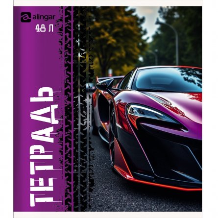 Тетрадь 48л., А5, клетка, Alingar "Авто", скрепка, мелованный  картон, блок офсет, 5 дизайнов в пленке т/у фото 2
