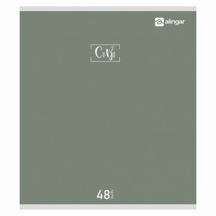 Тетрадь 48л., А5, клетка, Alingar "Style", скрепка, мелованый  картон ( стандарт), блок офсет, 4 дизайна в пленке т/у фото 4