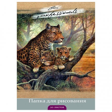 Папка для рисования А4 20л., Проф-Пресс, цветная обложка, 120г/м2, "Семейство леопардов " фото 1