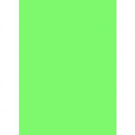 Бумага цветная для офиса А4, 50л., Интенсив "Зелёный ", Alingar, 80г/м2, пленка т/у фото 2