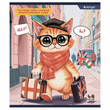 Тетрадь- словарь  48л. А5, Alingar ,"Hello", спецлиновка,  скрепка, мелованный картон (стандарт), блок офсет, 4 дизайна в спайке т/у фото 2