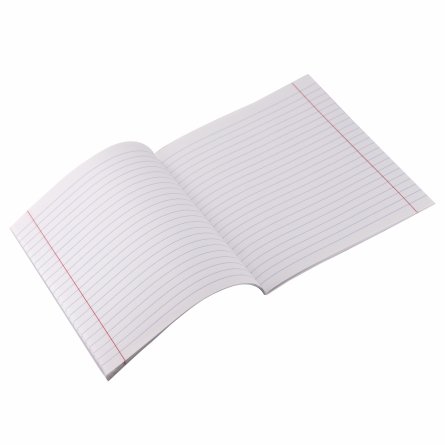 Комплект предметных тетрадей А5 48л., 10 предметов, со справ. матер, скрепка, пластиковая прозрачная обложка, блок офсет,Alingar "Classic NEW" фото 22