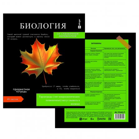 Комплект предметных тетрадей А5 48л., 10 предметов, Alingar "Journal", со справ. материалом, скрепка, мелованный картон, офсет 60г/м2, 100% белизна фото 5