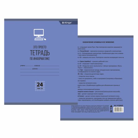 Тетрадь предметная  24л. А5 "Информатика"  со справочным материалом, скрепка, мелованный картон (стандарт), блок офсет, Alingar "Просто тетрадь" фото 2