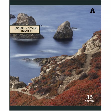 Тетрадь 36 л., А5, клетка, Alingar "Good nature", скрепка, офсет, мелованная бумага, 5 дизайнов в пленке т/у фото 4
