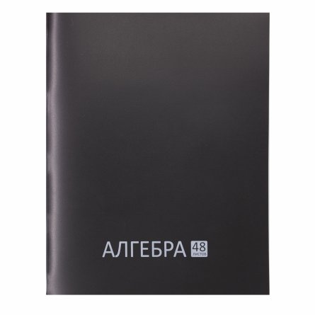 Комплект предметных тетрадей А5 48л., 12 предметов, со справ. матер, скрепка, цветная пластиковая обложка, блок офсет, Alingar "Стильная классика" фото 12