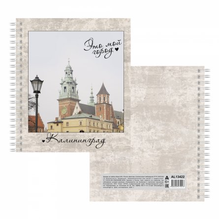 Тетрадь А5 48л., клетка, Alingar, гребень, блок офсет, мелованный картон (стандарт), "Города России", 4 дизайна в пленке т/у фото 6
