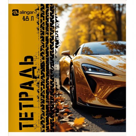 Тетрадь 48л., А5, клетка, Alingar "Авто", скрепка, мелованный  картон, блок офсет, 5 дизайнов в пленке т/у фото 4