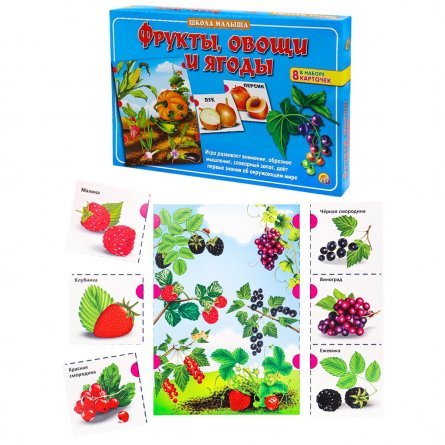 Игра, развивающая, школа малыша, РЫЖИЙ КОТ, "Фрукты, овощи и ягоды", 8 карточек фото 2