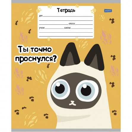 Тетрадь 18л., клетка, Проф-Пресс, скрепка, блок офсет, мелованная обложка, "Котобудни", 4 дизайна в коробе фото 2