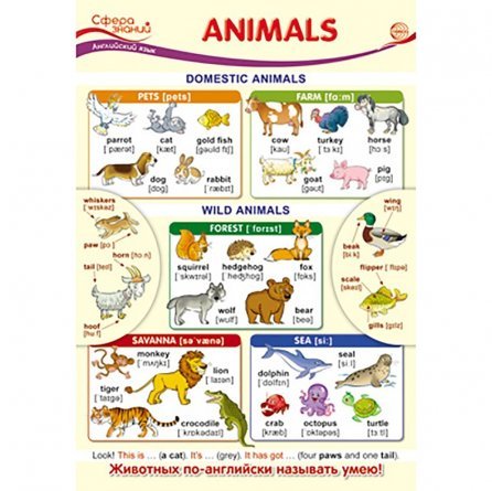 Плакат обучающий А3, "Английский язык в начальной школе. Animals (Животные)", ТЦ Сфера фото 1