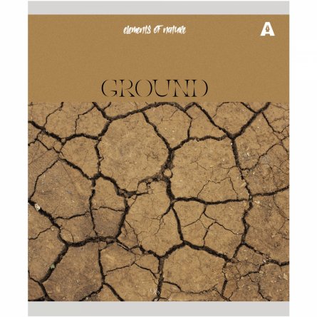 Тетрадь 96л., А5, клетка, Alingar "Elements of nature", скрепка, мелованный картон (стандарт), блок офсет, 5 дизайнов в пленке т/у фото 3