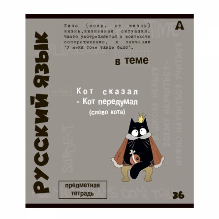 Тетрадь предметная  36л. А5 "Русский язык", линия, со справочным материалом, скрепка, мелованный картон (стандарт), блок офсет, Alingar "Тема" фото 1