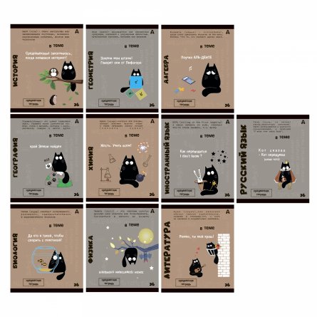 Комплект предметных тетрадей А5 36л.,10 предметов, со справочным материалом, скрепка, мелованный картон (стандарт), блок офсет, Alingar "Тема" фото 1